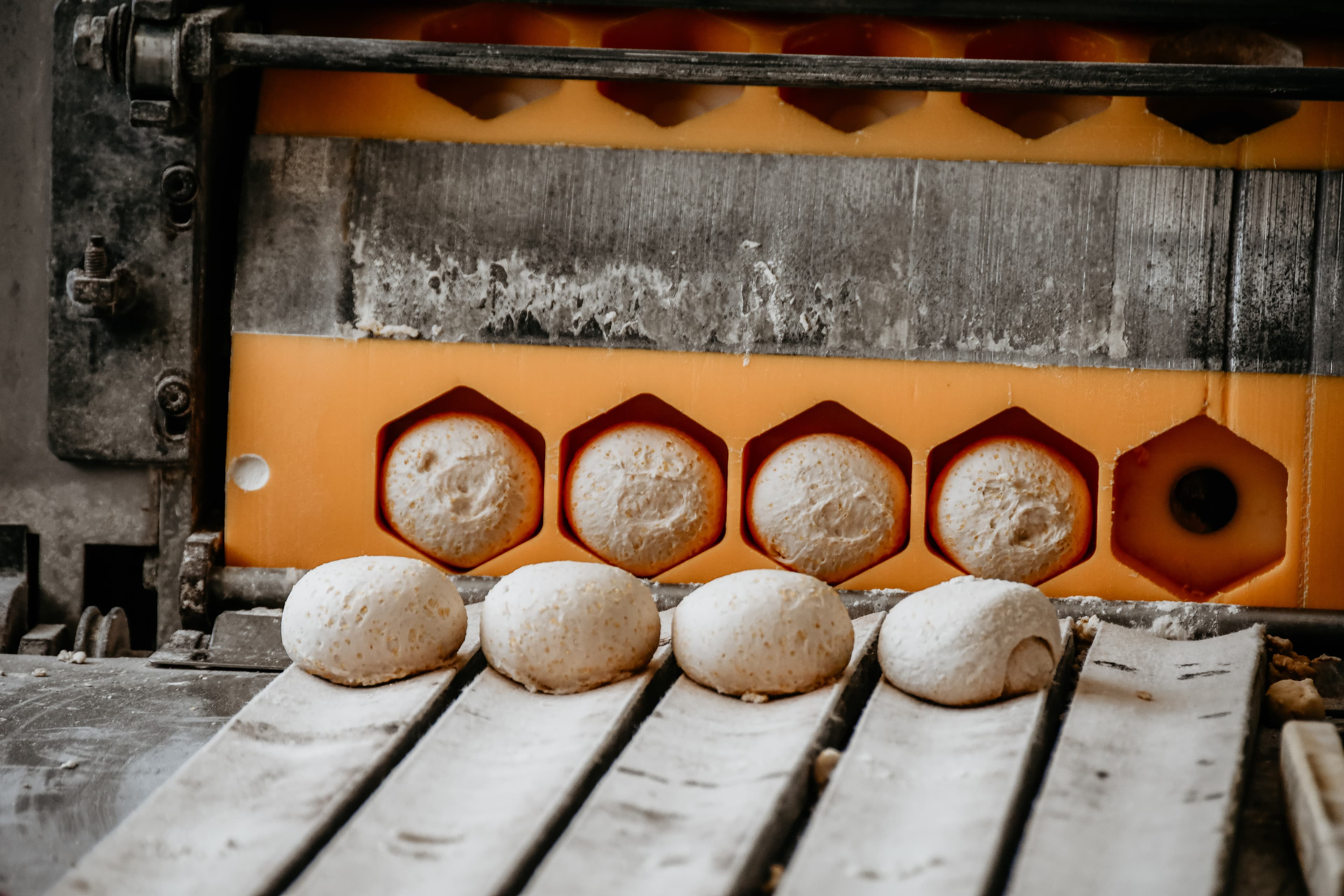 Brood