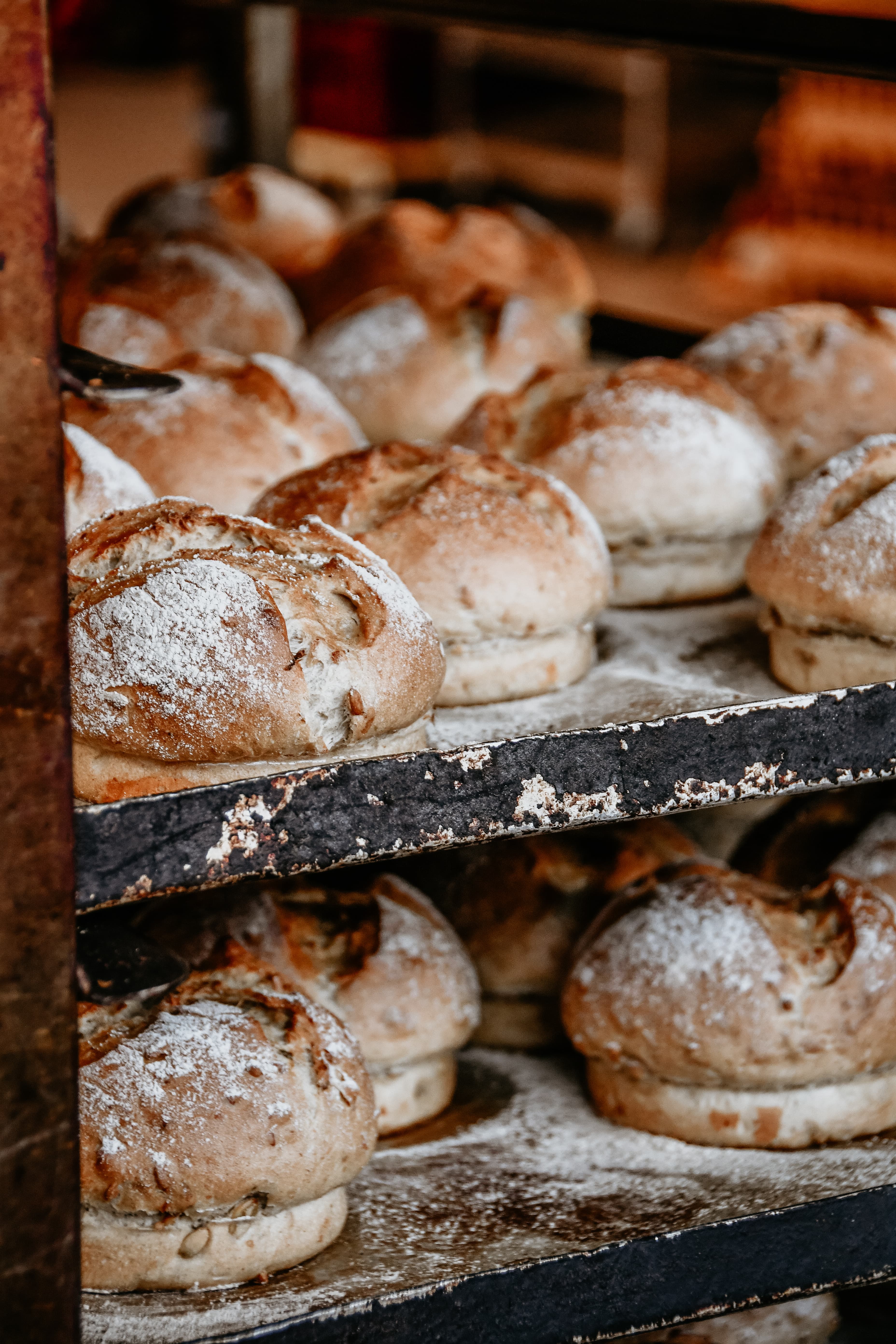 Brood